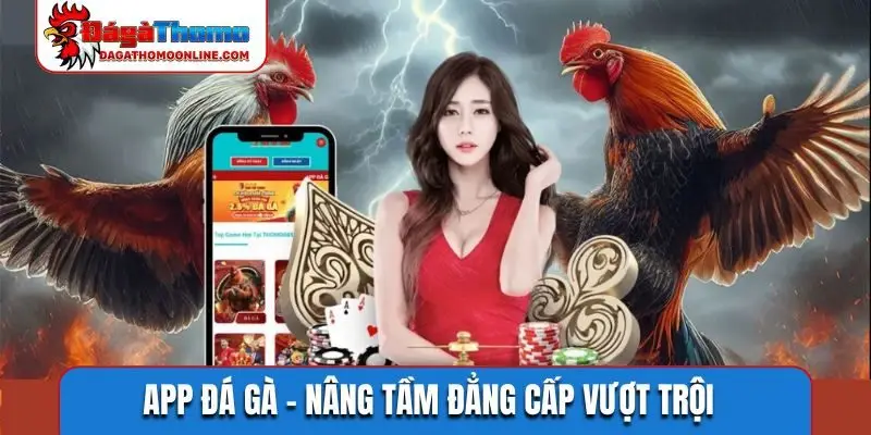 App Đá Gà