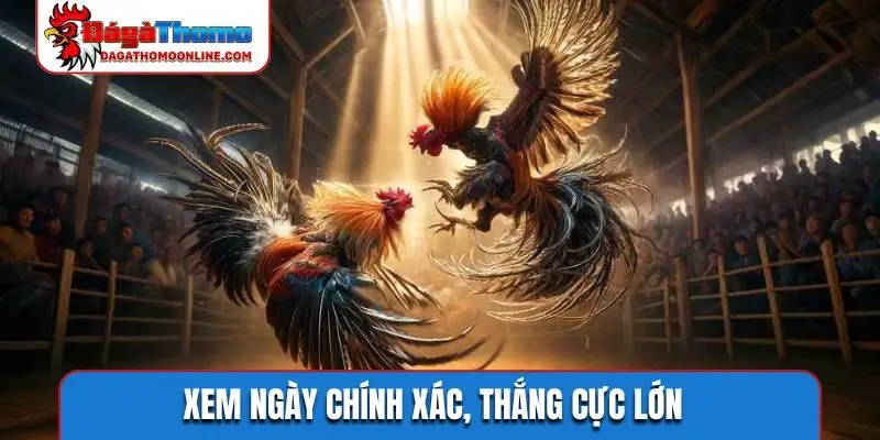Xem ngày chính xác, thắng cực lớn